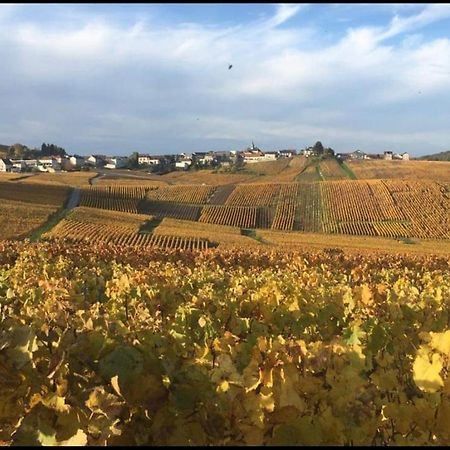 Gite En Champagne Le Sarment Cramant エクステリア 写真