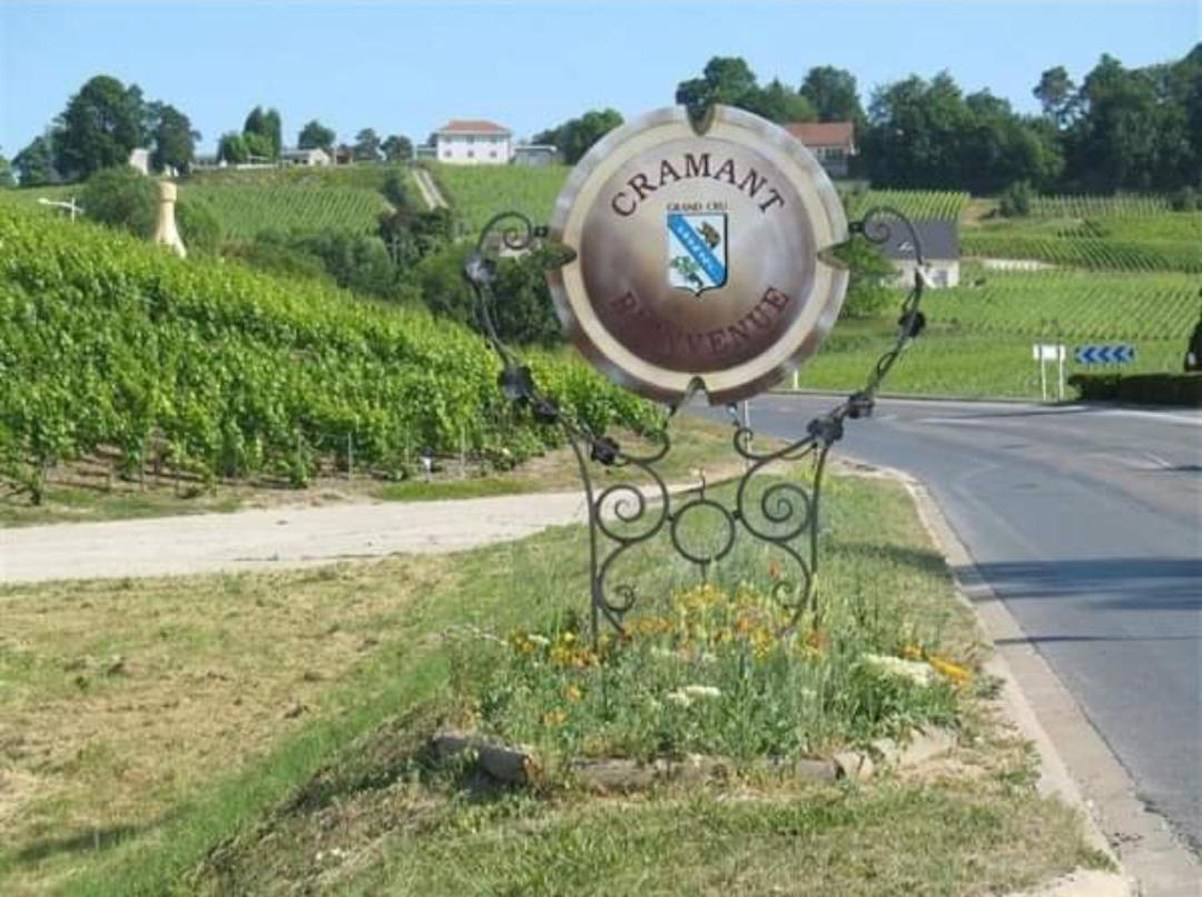 Gite En Champagne Le Sarment Cramant エクステリア 写真