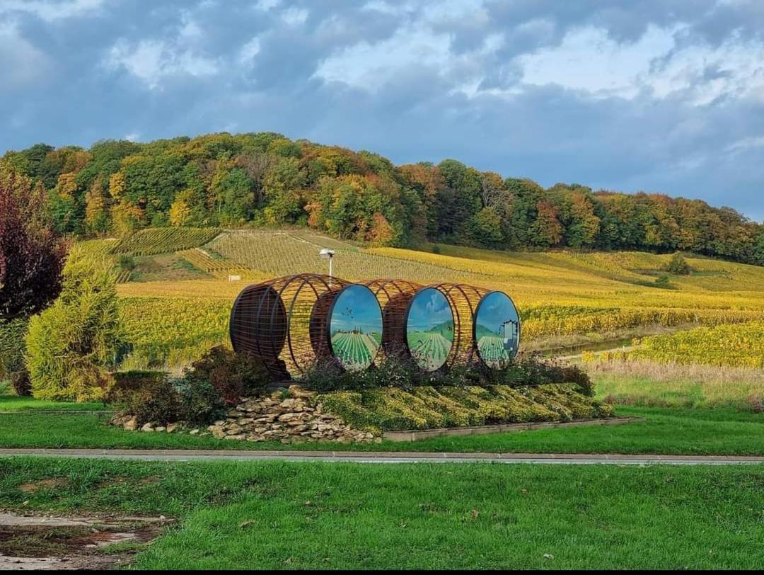 Gite En Champagne Le Sarment Cramant エクステリア 写真