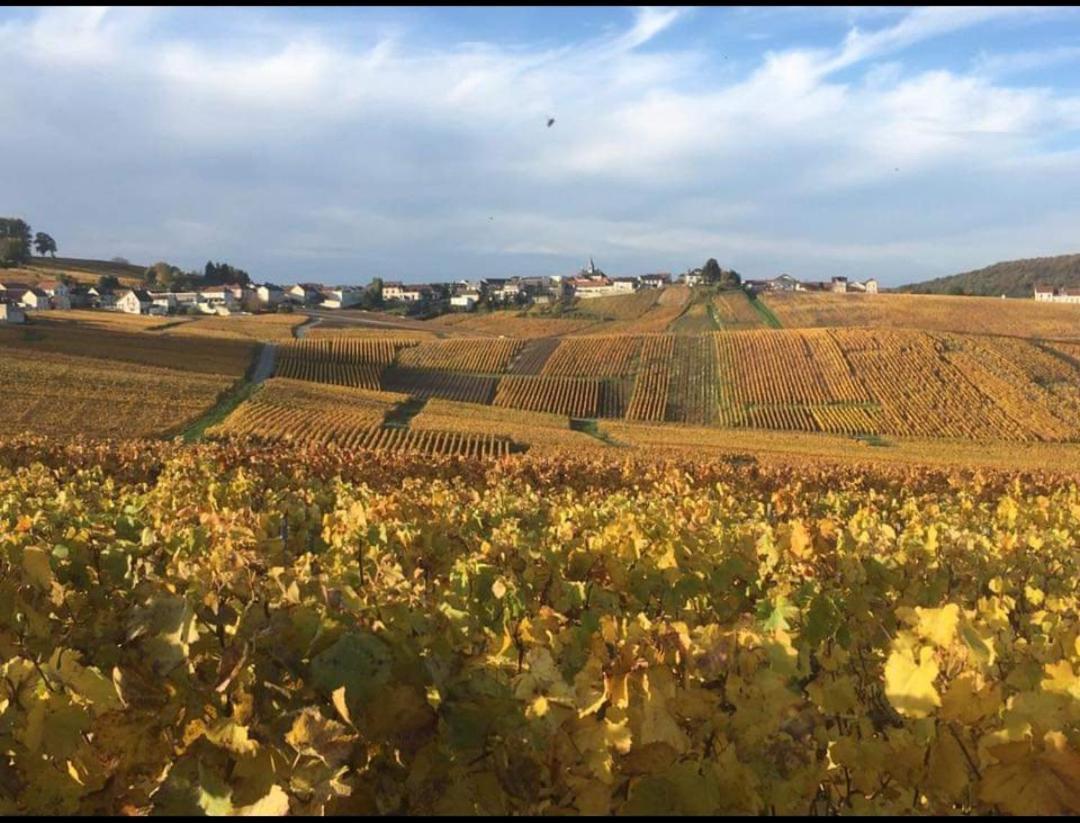 Gite En Champagne Le Sarment Cramant エクステリア 写真