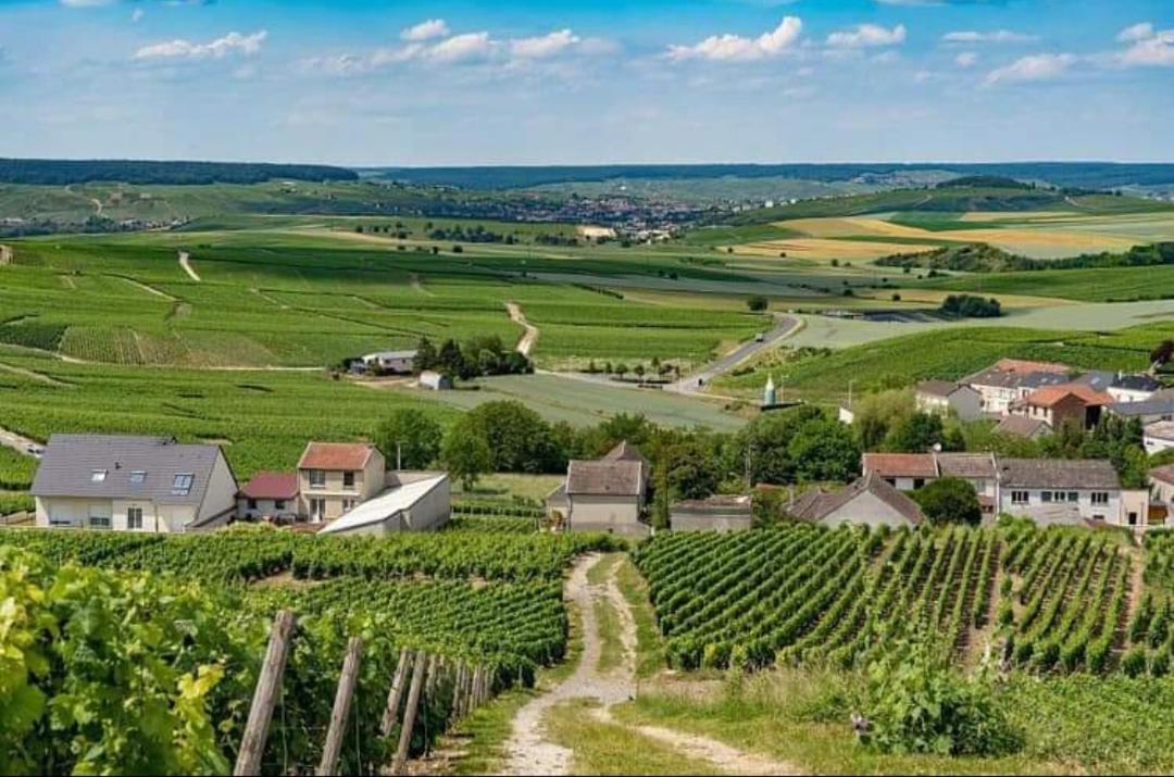 Gite En Champagne Le Sarment Cramant エクステリア 写真